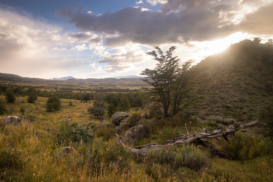 Patagonian steppe - South Patagonia Icefield Expedition - Argentina