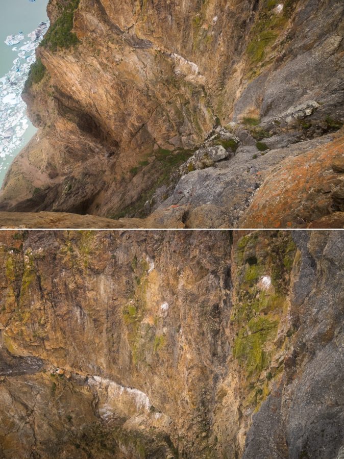 Condor Nests - South Patagonia Icefield Expedition - Argentina