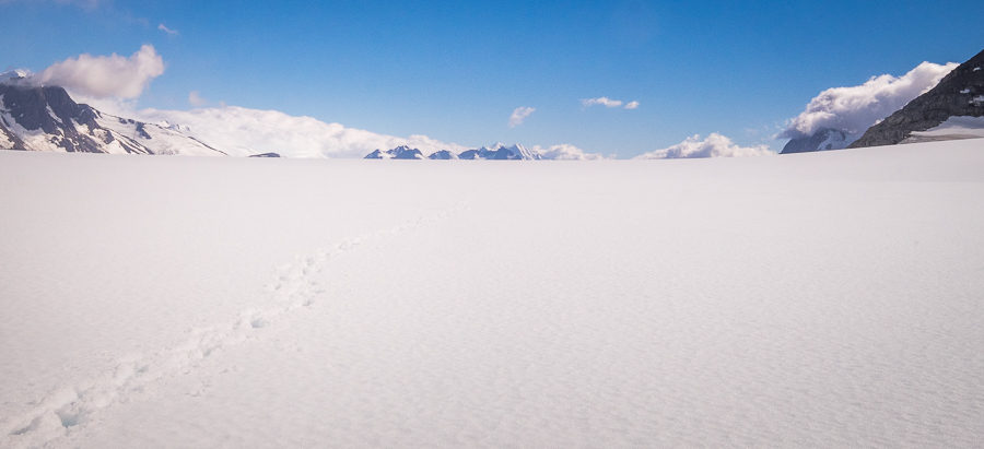 Looking back up the flat icefield - South Patagonia Icefield Expedition - Argentina