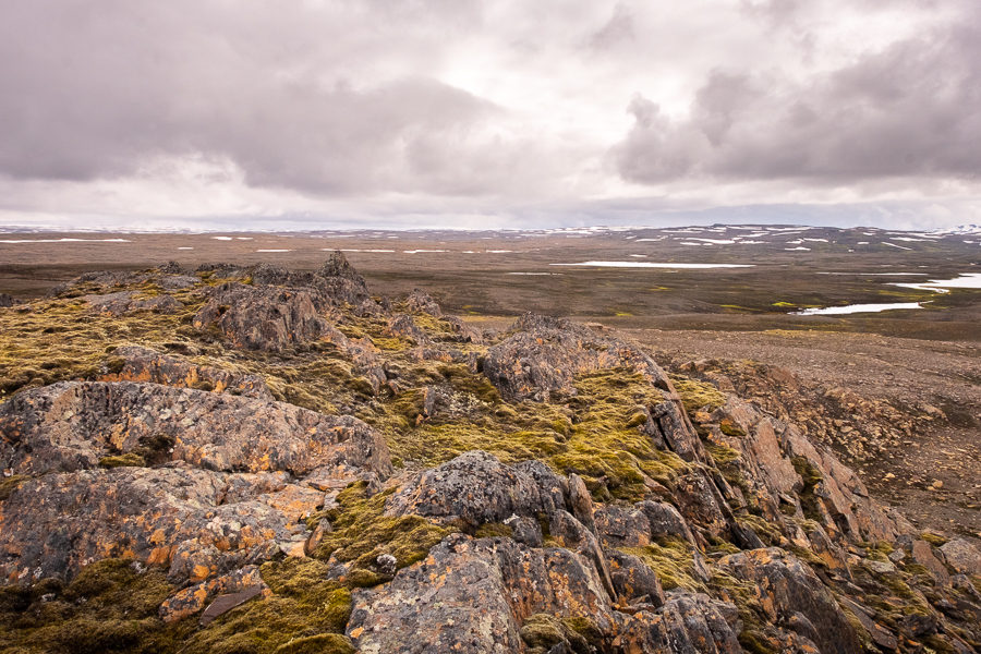 View from lunch spot - Shadow of Vatnajokull - East Iceland