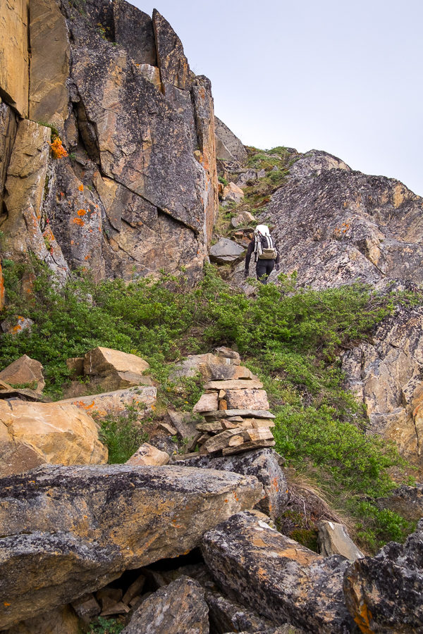 My friend climbing the almost vertical slope to get to the trail - Assaqutaq, West Greenland