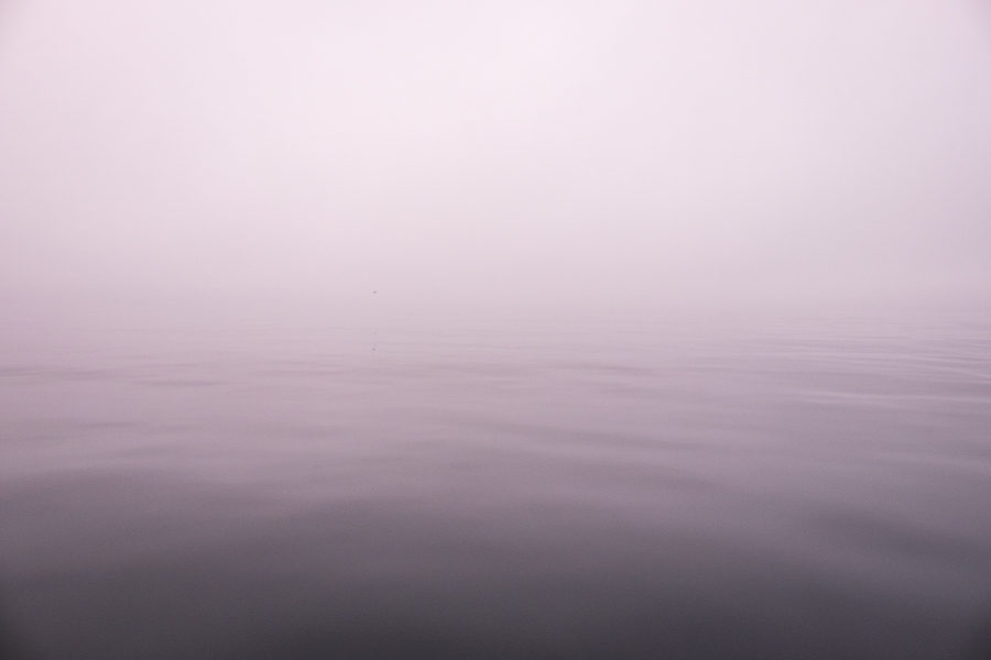 Image of fog over water where it difficult to tell where one ends and the other begins - Sisimiut Sea Safari - West Greenland