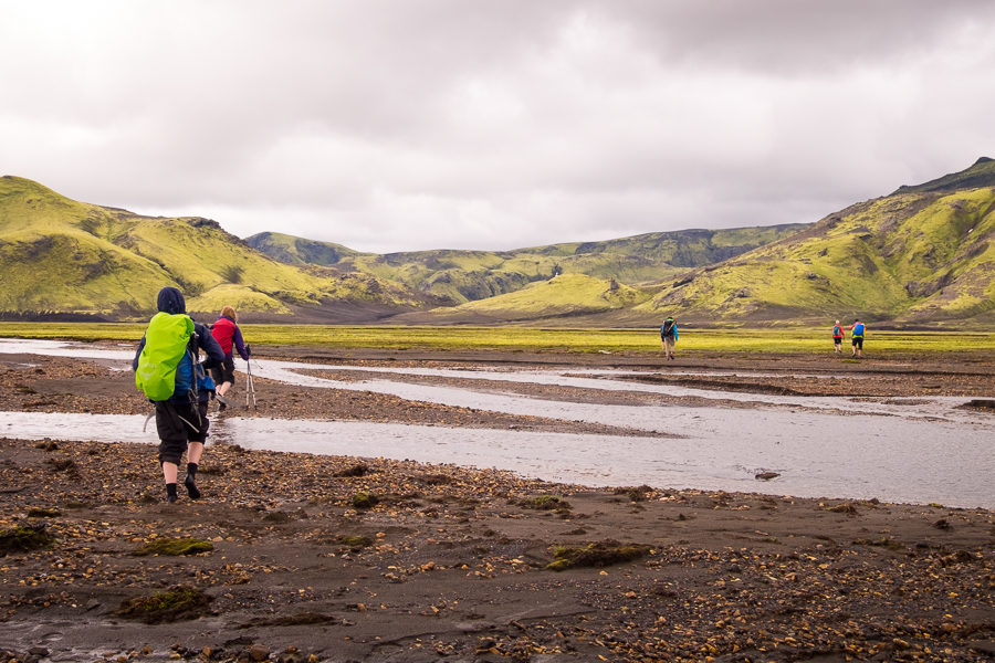Trekking companions wading through river channels - Volcanic Trails - Central Highlands, Iceland