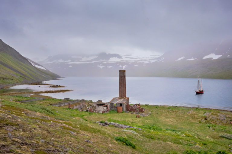 Trekking Iceland – Around Hesteyri – Hornstrandir