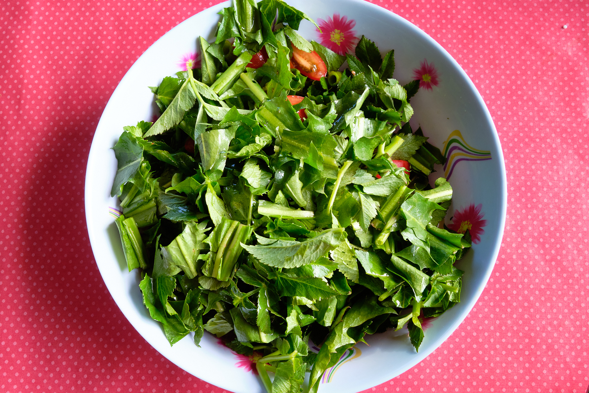 foraged salad for dinner at sassannguit near Sisimiut - Greenland.jpg