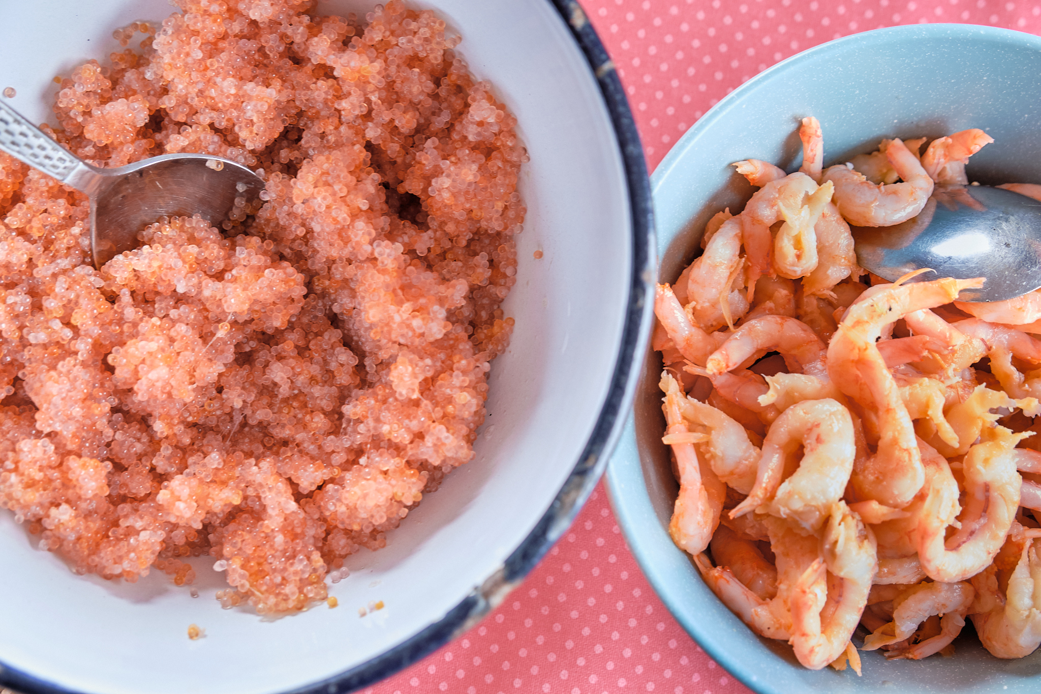 lumpfish roe and prawns for lunch at sassannguit near Sisimiut - Greenland