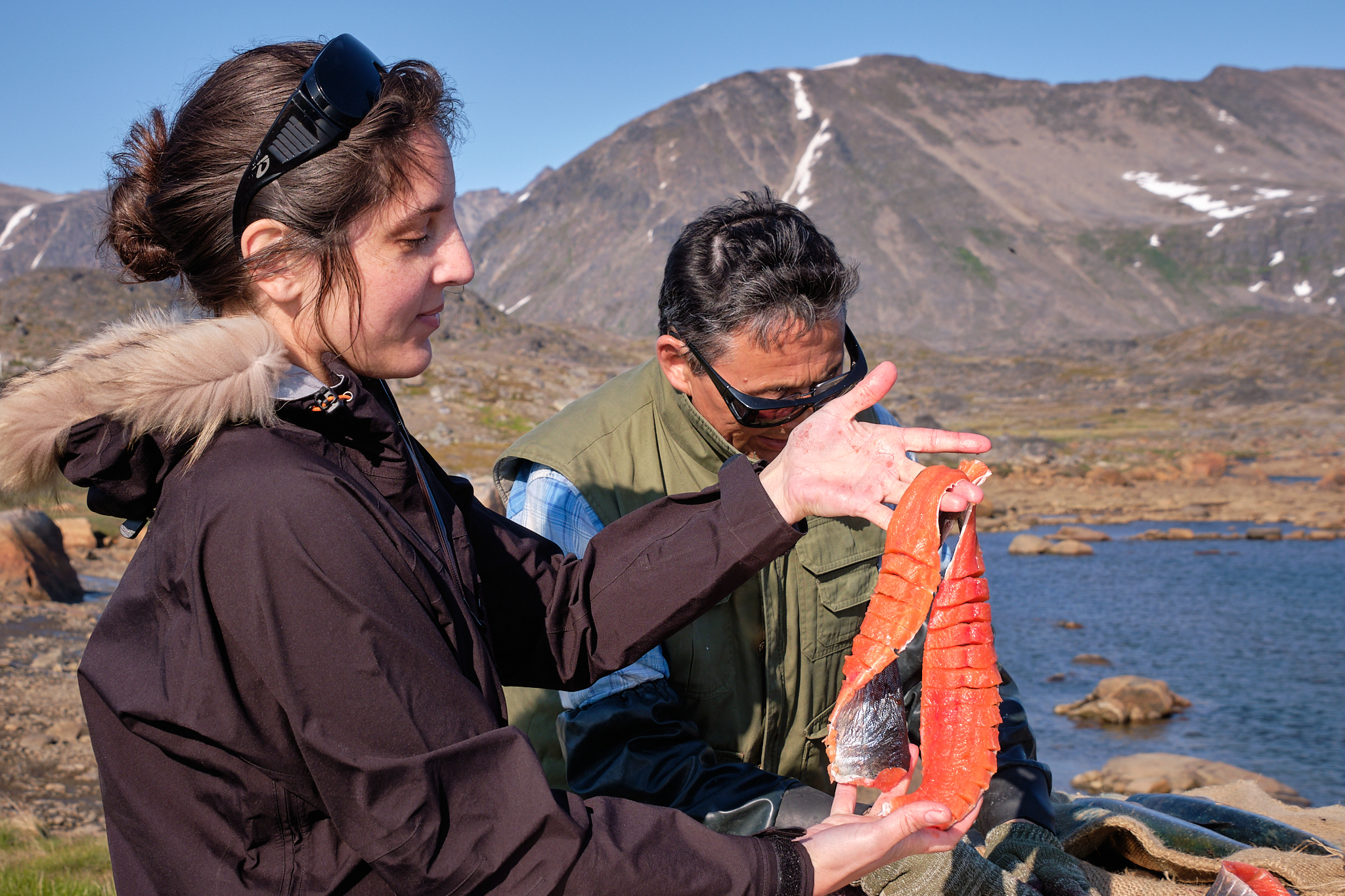 preparing arctic char for drying- Sassannguit - Greenland