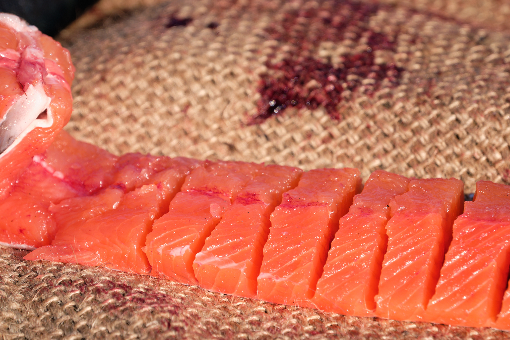 preparing arctic char for dring - Sassannguit - Greenland