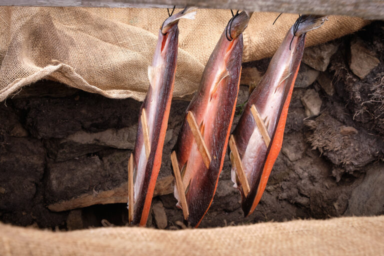 Smoking fish (Arctic Char) in Greenland
